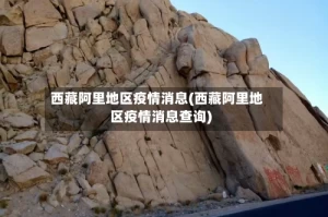 西藏阿里地区疫情消息(西藏阿里地区疫情消息查询)