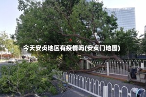 今天安贞地区有疫情吗(安贞门地图)