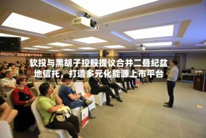 软投与黑胡子控股提议合并二叠纪盆地信托，打造多元化能源上市平台