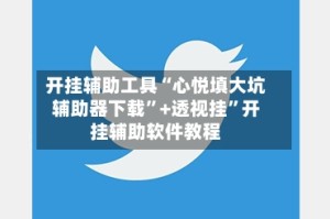 开挂辅助工具“心悦填大坑辅助器下载”+透视挂”开挂辅助软件教程