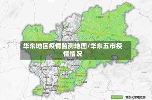 华东地区疫情监测地图/华东五市疫情情况