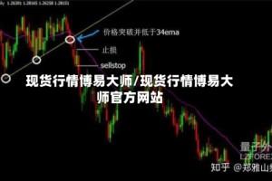 现货行情博易大师/现货行情博易大师官方网站