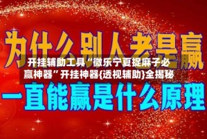 开挂辅助工具“微乐宁夏捉麻子必赢神器”开挂神器{透视辅助}全揭秘