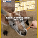 反保定怎么报备疫情地区/返保定人员有什么要求