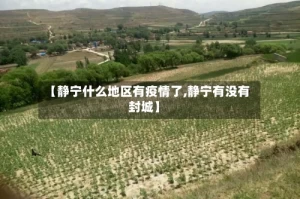 【静宁什么地区有疫情了,静宁有没有封城】