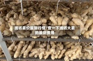 潍坊姜价最新行情/查一下潍坊大姜的最新费用
