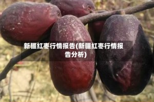 新疆红枣行情报告(新疆红枣行情报告分析)