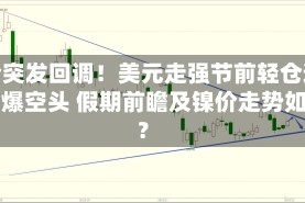 镍价突发回调！美元走强节前轻仓避险引爆空头 假期前瞻及镍价走势如何？