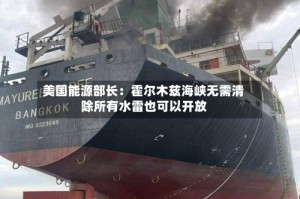 美国能源部长：霍尔木兹海峡无需清除所有水雷也可以开放