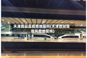 天津西站是疫情地区吗(天津西站是低风险地区吗)