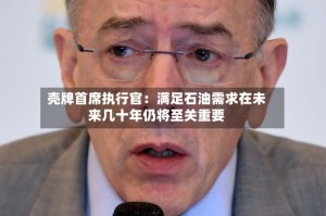 壳牌首席执行官：满足石油需求在未来几十年仍将至关重要