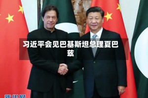 习近平会见巴基斯坦总理夏巴兹