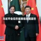 习近平会见巴基斯坦总理夏巴兹