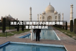 消息人士：特朗普长子小唐纳德·特朗普正在韩国访问