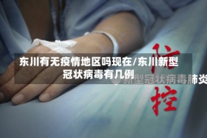 东川有无疫情地区吗现在/东川新型冠状病毒有几例