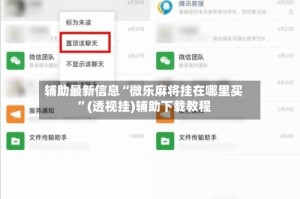 辅助最新信息“微乐麻将挂在哪里买”(透视挂)辅助下载教程