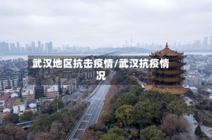 武汉地区抗击疫情/武汉抗疫情况