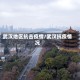 武汉地区抗击疫情/武汉抗疫情况