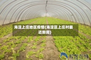 海淀上庄地区疫情(海淀区上庄村最近新闻)