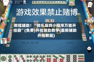 教程辅助！“微乐麻将小程序万能开挂器”(免费)开挂辅助教学(最新辅助开挂教程)