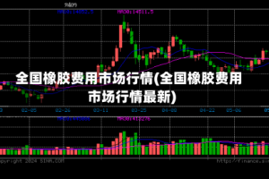 全国橡胶费用市场行情(全国橡胶费用市场行情最新)
