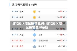 湖北武汉地区疫情查询/湖北武汉地区疫情查询系统