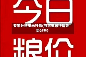 专家分析玉米行情(当前玉米行情走势分析)