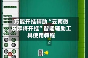 万能开挂辅助“云南微乐麻将开挂”智能辅助工具使用教程