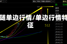 跟随单边行情/单边行情特征