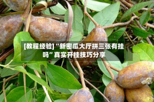[教程经验]“新密瓜大厅拼三张有挂吗”真实开挂技巧分享