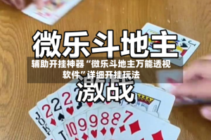 辅助开挂神器“微乐斗地主万能透视软件”详细开挂玩法