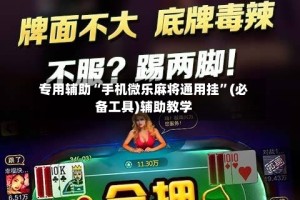 专用辅助“手机微乐麻将通用挂”(必备工具)辅助教学