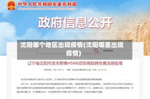 沈阳哪个地区出现疫情(沈阳哪里出现疫情)