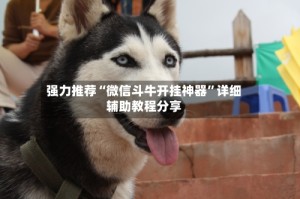 强力推荐“微信斗牛开挂神器”详细辅助教程分享