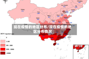 现在疫情的地区分布/现在疫情的地区分布情况