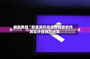 辅助教程“新星游开挂透视辅助软件”真实开挂技巧分享