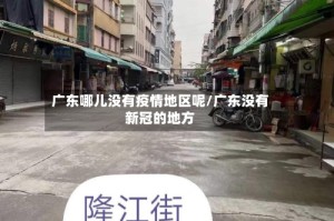 广东哪儿没有疫情地区呢/广东没有新冠的地方