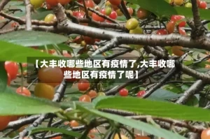 【大丰收哪些地区有疫情了,大丰收哪些地区有疫情了呢】