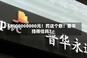 57000000000元！罚这个数！普华挡得住吗？