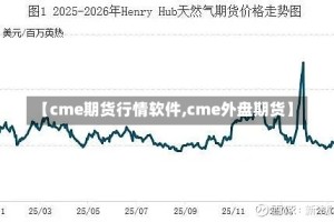 【cme期货行情软件,cme外盘期货】