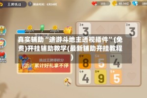 真实辅助“途游斗地主透视插件”(免费)开挂辅助教学(最新辅助开挂教程)
