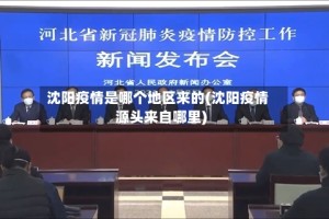 沈阳疫情是哪个地区来的(沈阳疫情源头来自哪里)