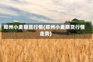 郑州小麦期货行情(郑州小麦期货行情走势)