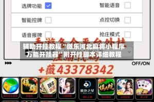 辅助开挂教程“微乐河北麻将小程序万能开挂器”附开挂脚本详细教程