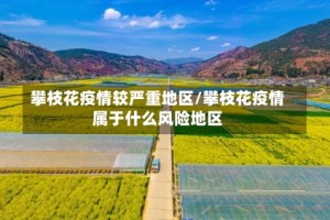 攀枝花疫情较严重地区/攀枝花疫情属于什么风险地区