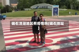 碣石清湖地区有疫情吗(碣石地址)