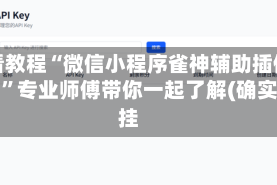 必看教程“微信小程序雀神辅助插件下载”专业师傅带你一起了解(确实有挂