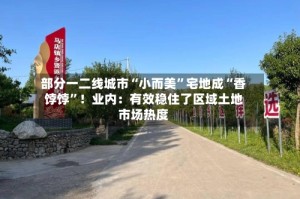部分一二线城市“小而美”宅地成“香饽饽”！业内：有效稳住了区域土地市场热度