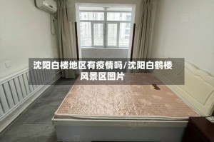 沈阳白楼地区有疫情吗/沈阳白鹤楼风景区图片