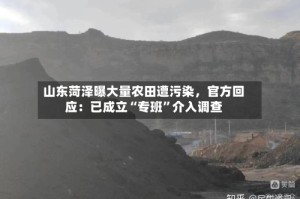 山东菏泽曝大量农田遭污染，官方回应：已成立“专班”介入调查